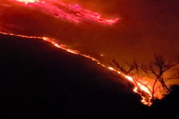 Forest fire along a hillside in south Kashmir late Thursday.